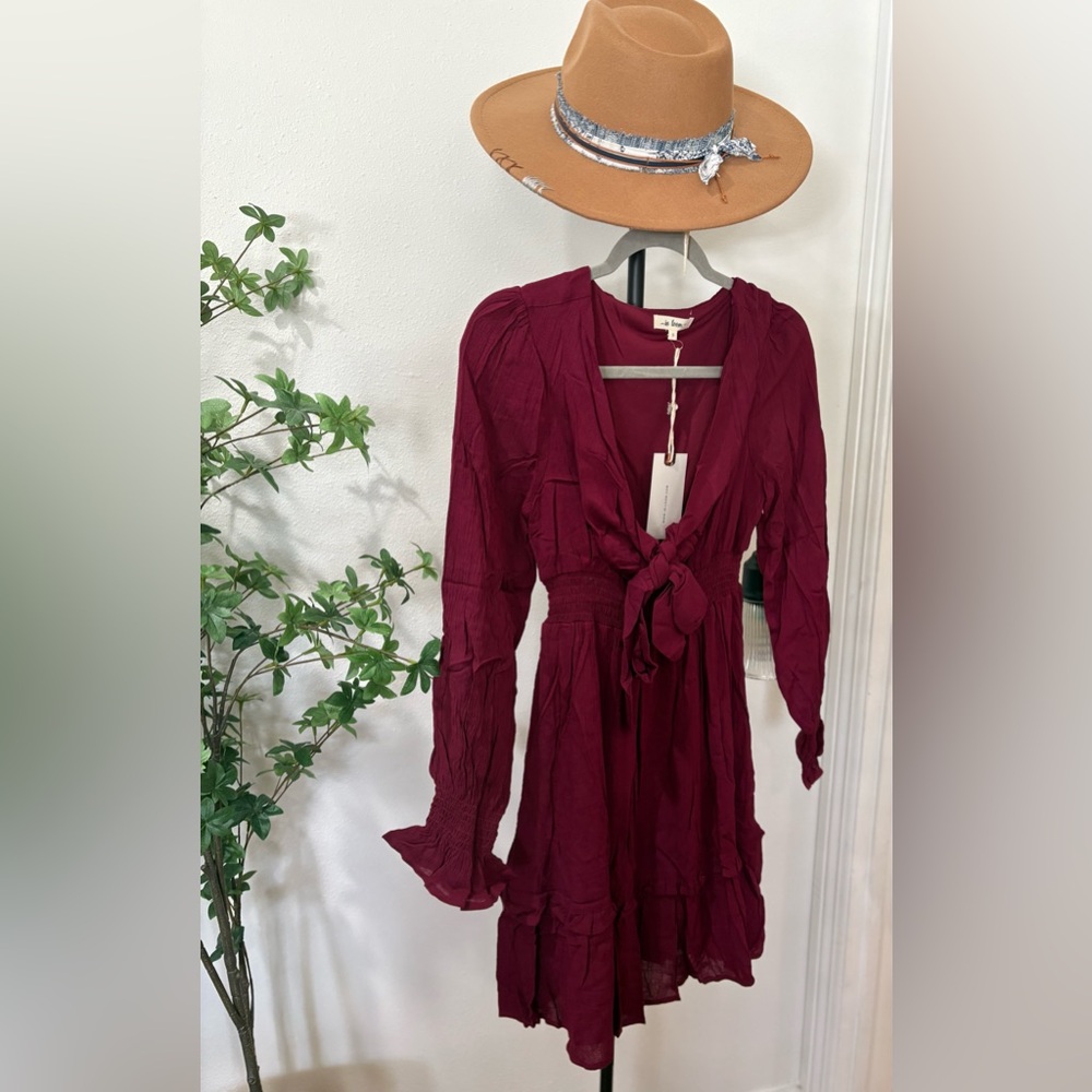& Other Stories Rich Burgundy Long Sleeve Dress